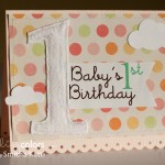 baby1bday web