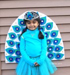 DIY peacock costume