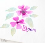 bloom