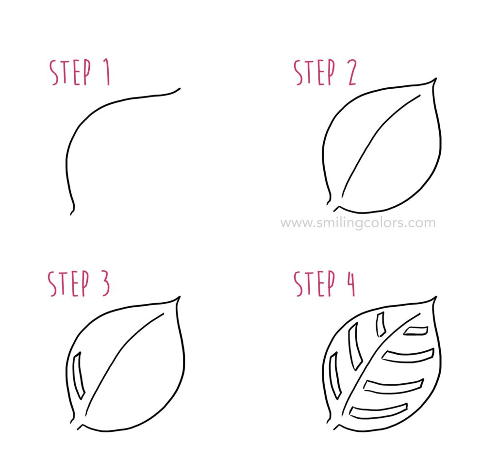 how to draw a monstera leaf