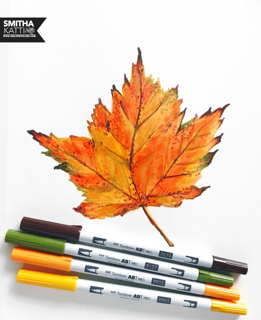 maple-leaf-illustration-smitha-katti