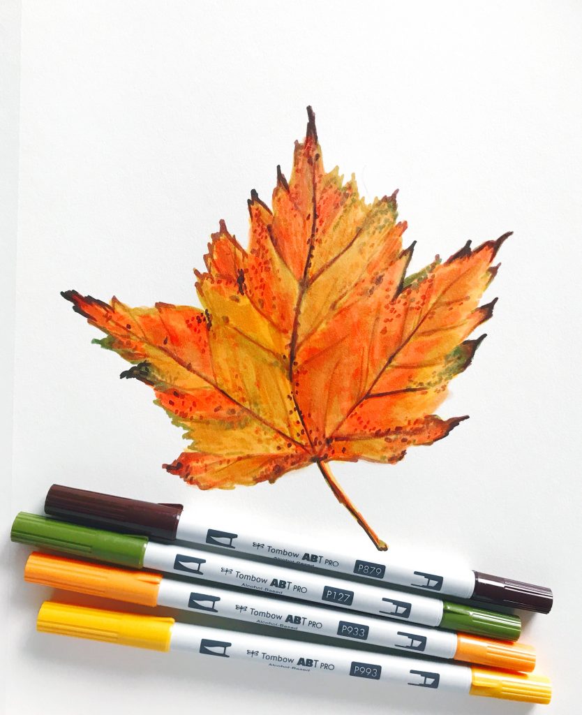 how to draw a maple leaf using alcohol markers