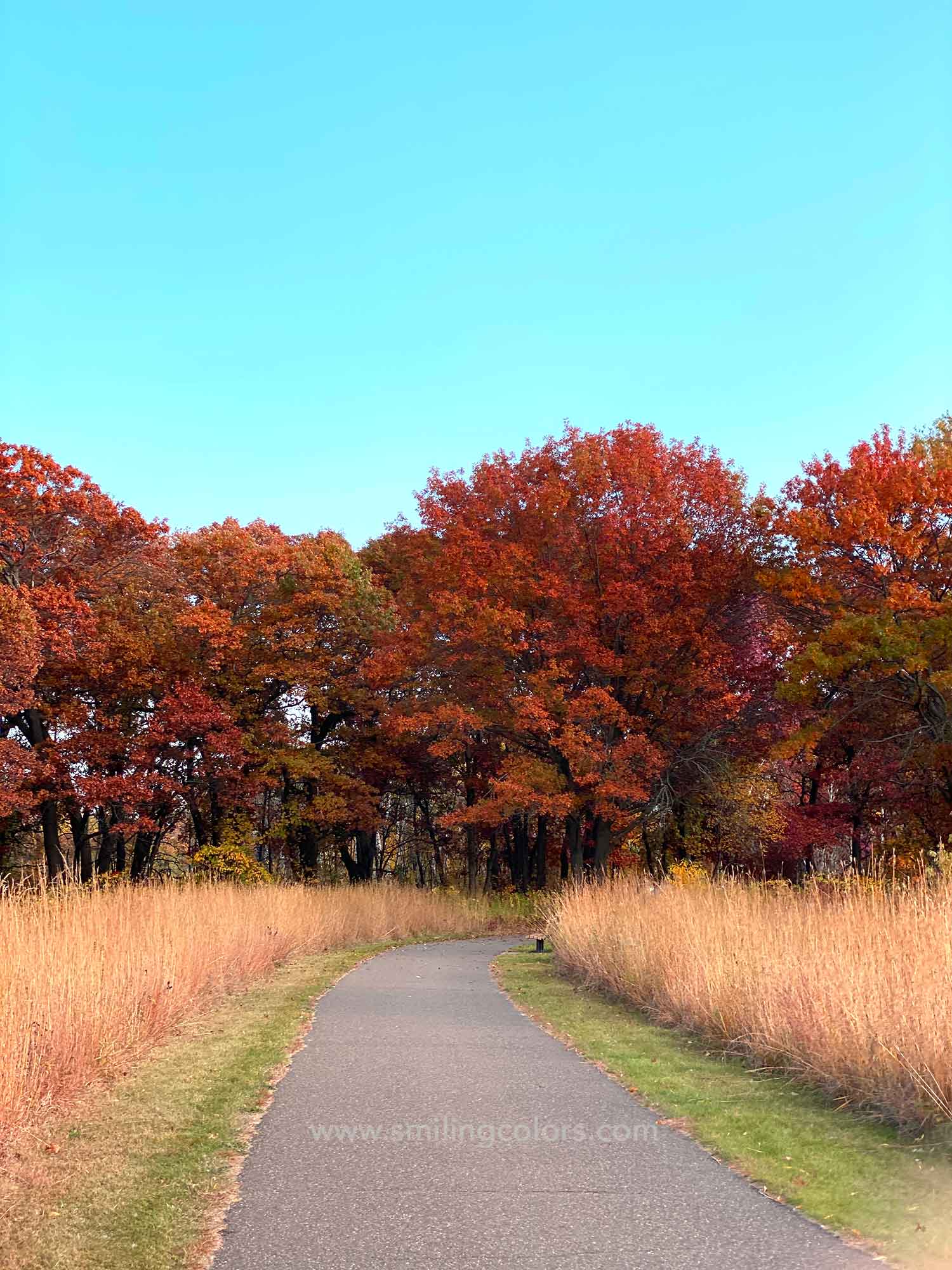 Fall photos