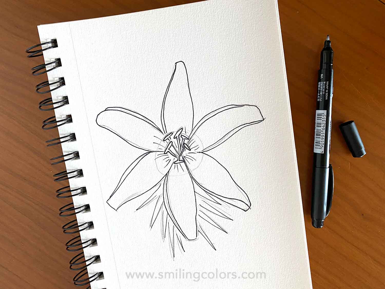 How to draw a Lily2