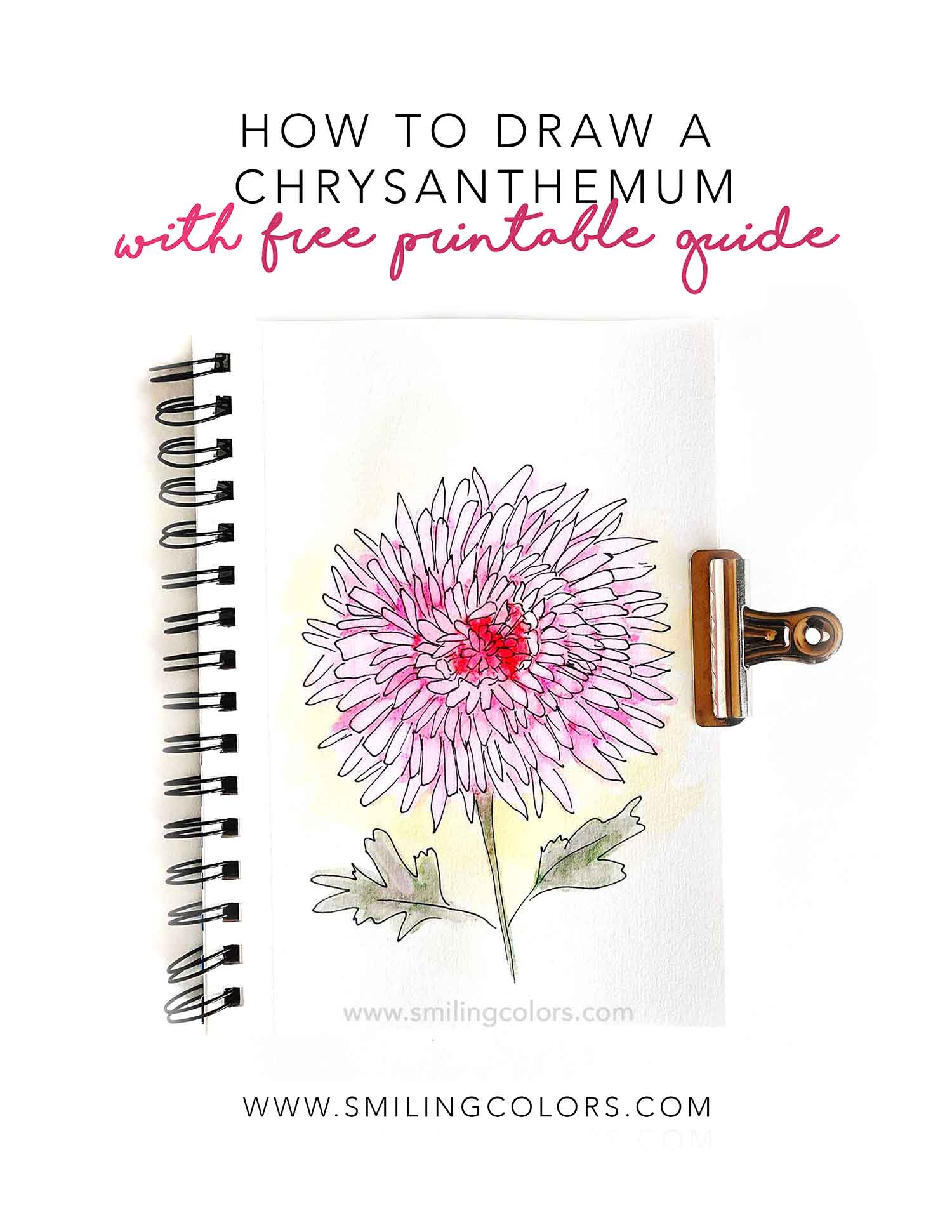 How-to-draw-a-chrysanthemum-Smtiha-Katti