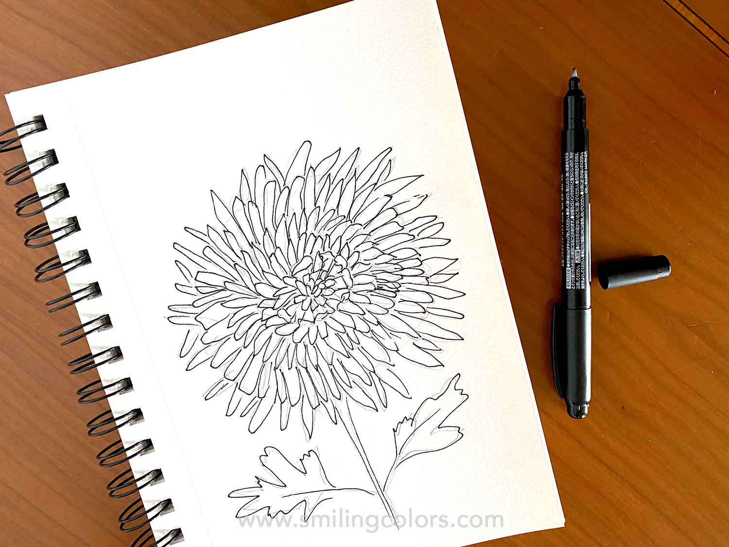 How to draw a chrysanthemum smitha katti7