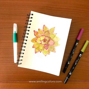 succulent drawing brush pen