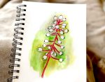 doll's eye plant watercolor