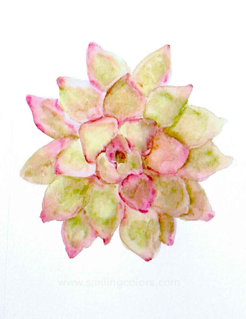 how to paint a succulent