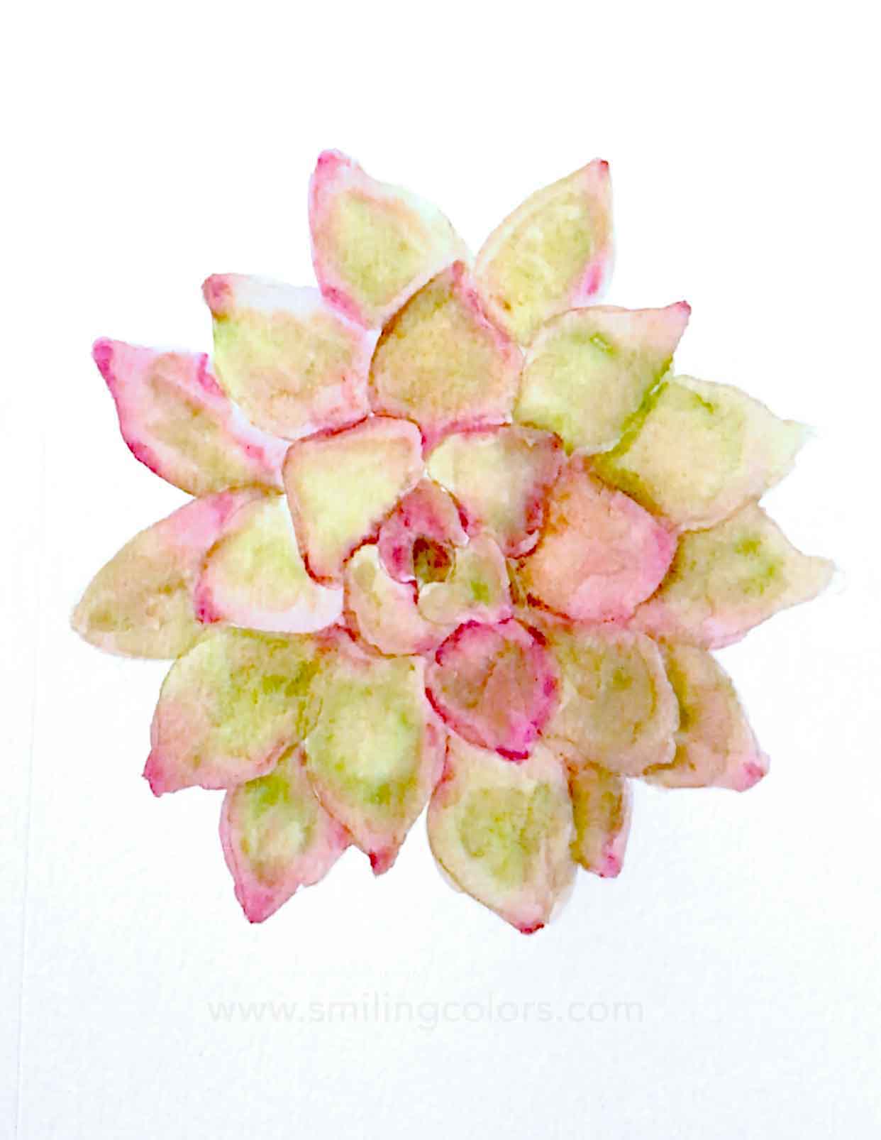 how to paint a succulent with brush pens
