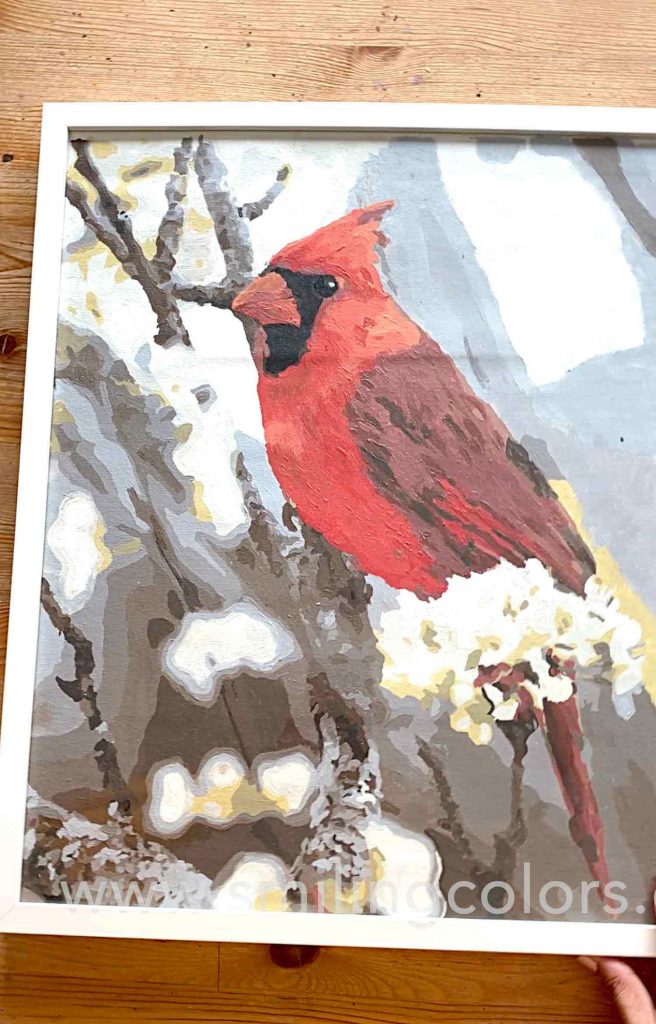 Cardinal-paint-by-number