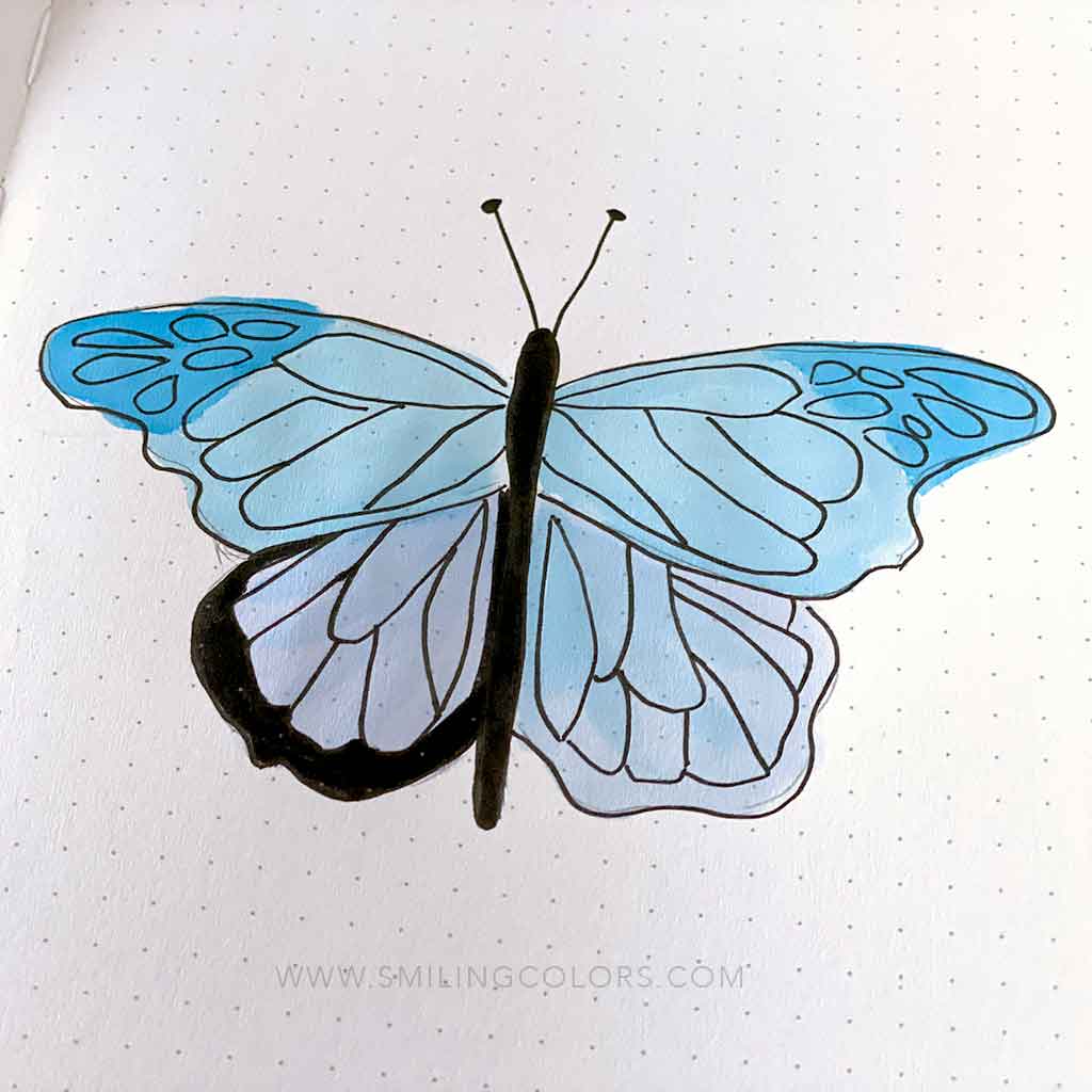 Butterfly drawing step by step