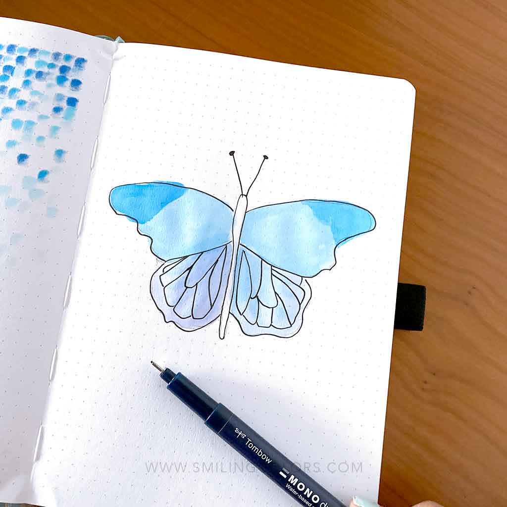 Butterfly drawing