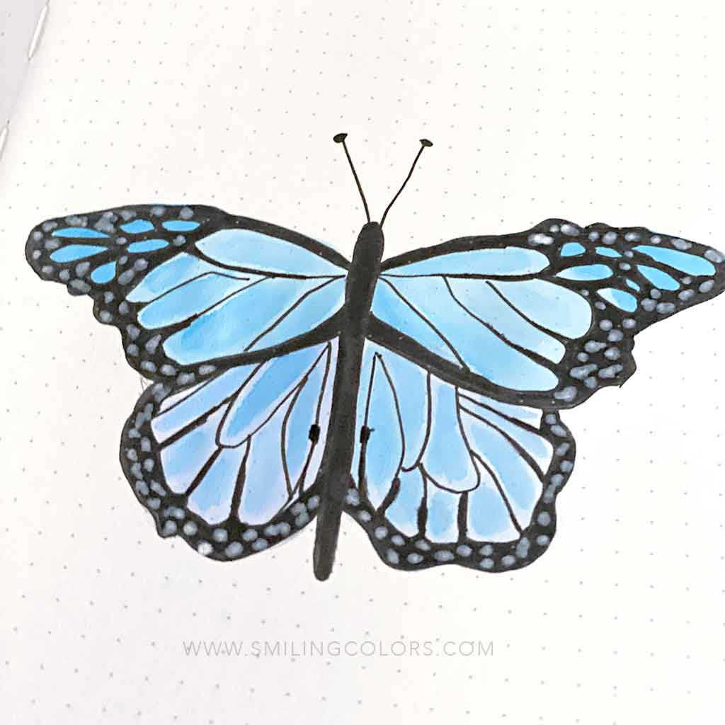 How to Draw a Butterfly Blue