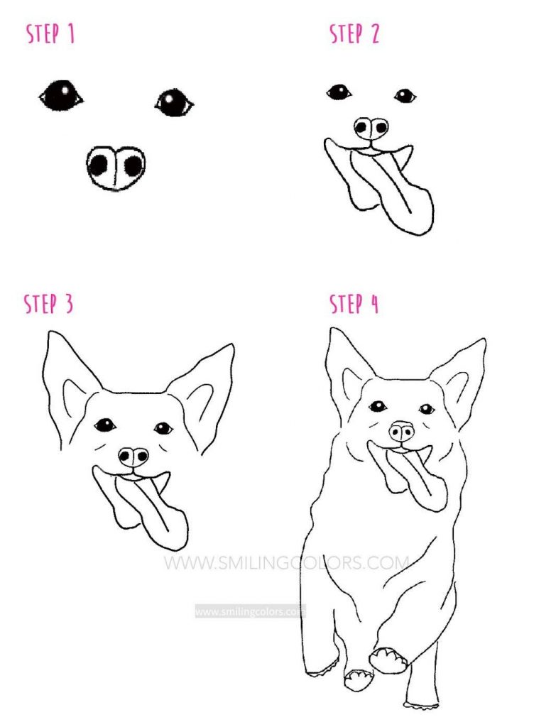 how to draw a dog corgi step by step