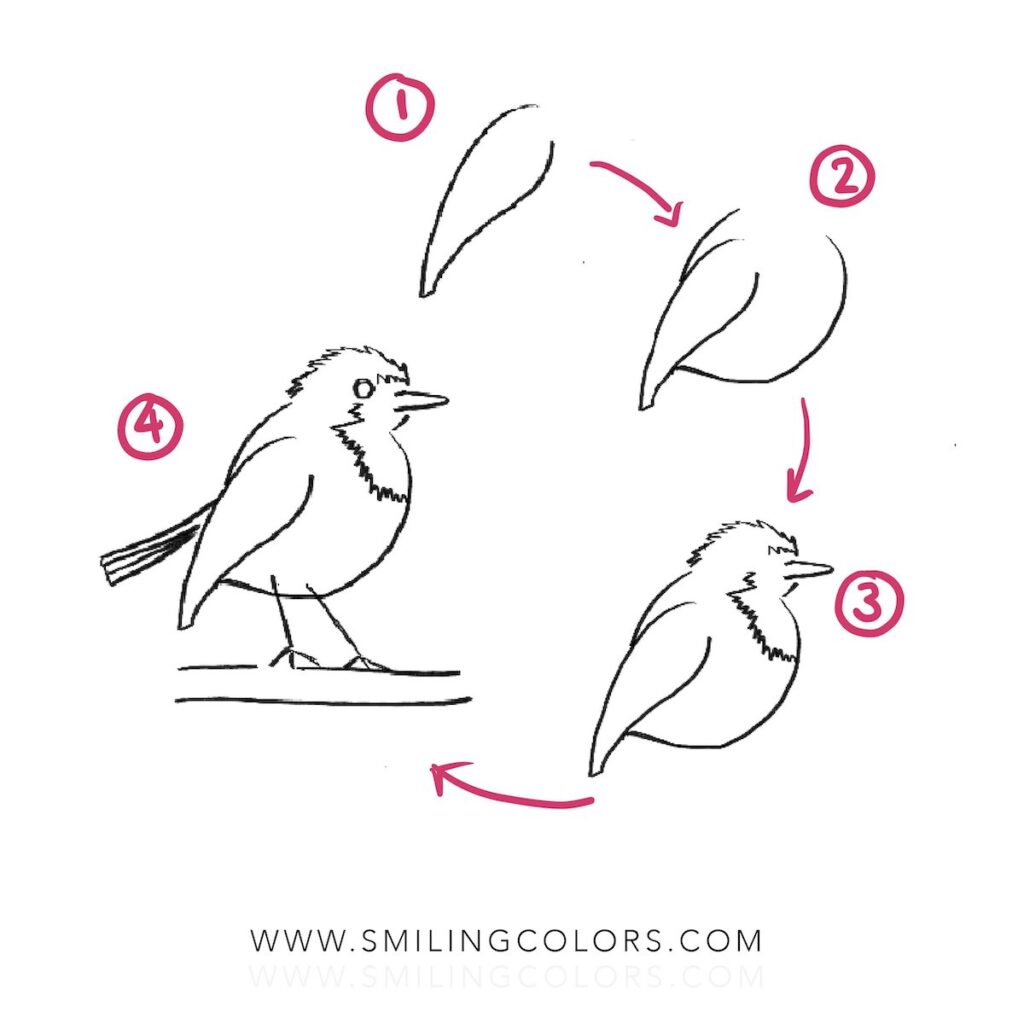 How to draw a Robin Bird.jpg