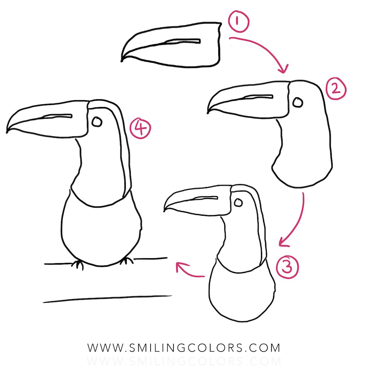 How to draw a toucan bird
