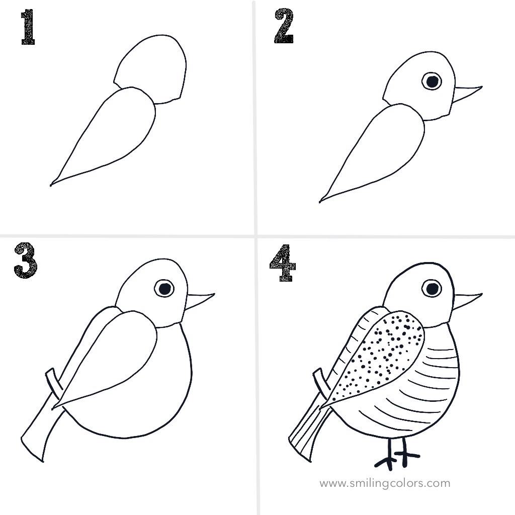 bird drawing step by step easy