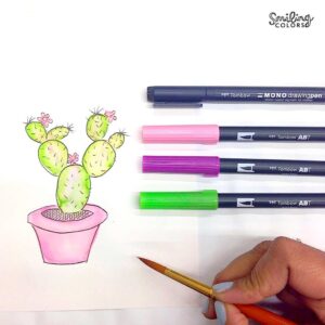 how to draw a cactus with flowers