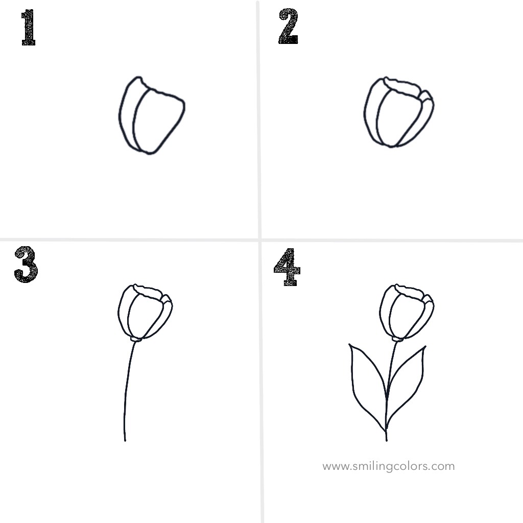 tulip-line-drawing-step-by-step