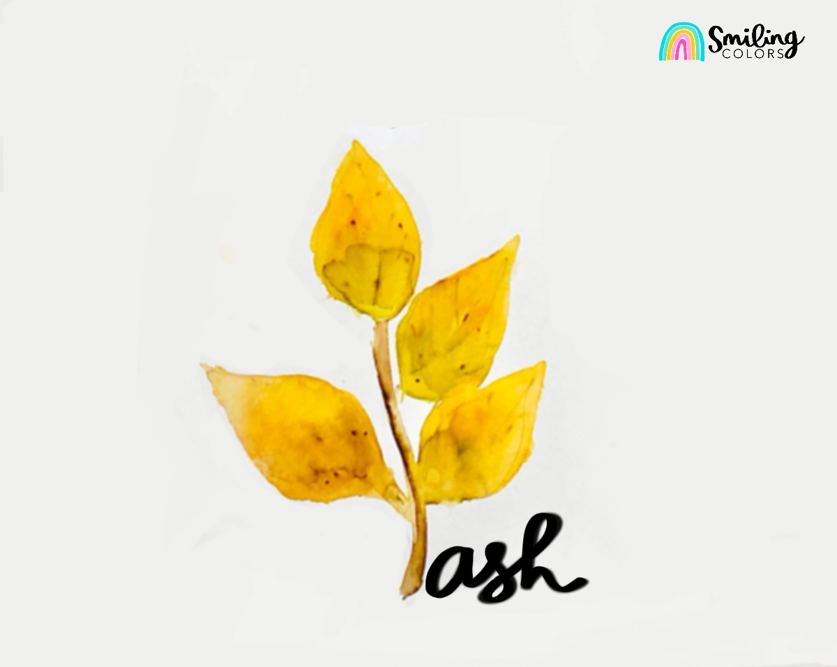 Watercolor Ash Leaf Branch