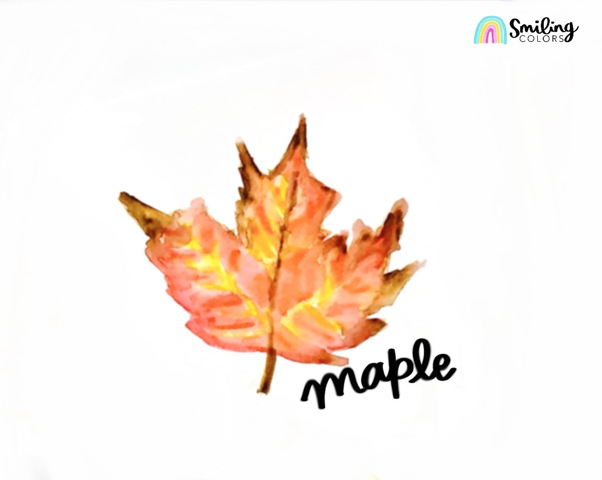 watercolor maple leaf